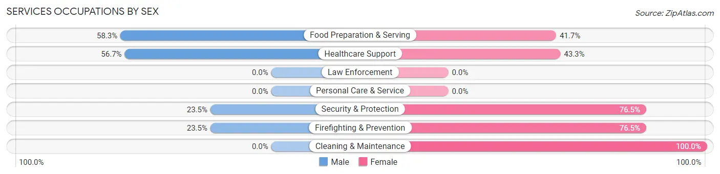Services Occupations by Sex in Zip Code 87036