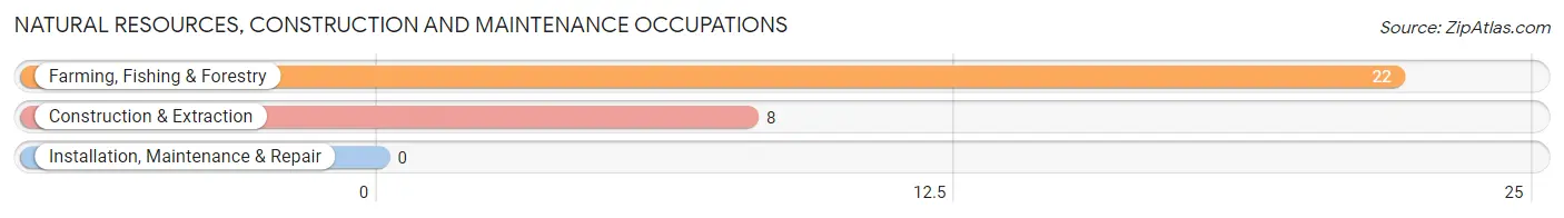 Natural Resources, Construction and Maintenance Occupations in Zip Code 87037