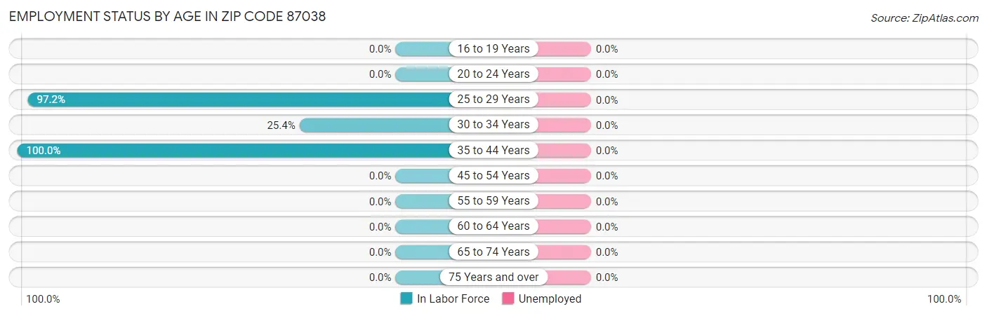 Employment Status by Age in Zip Code 87038