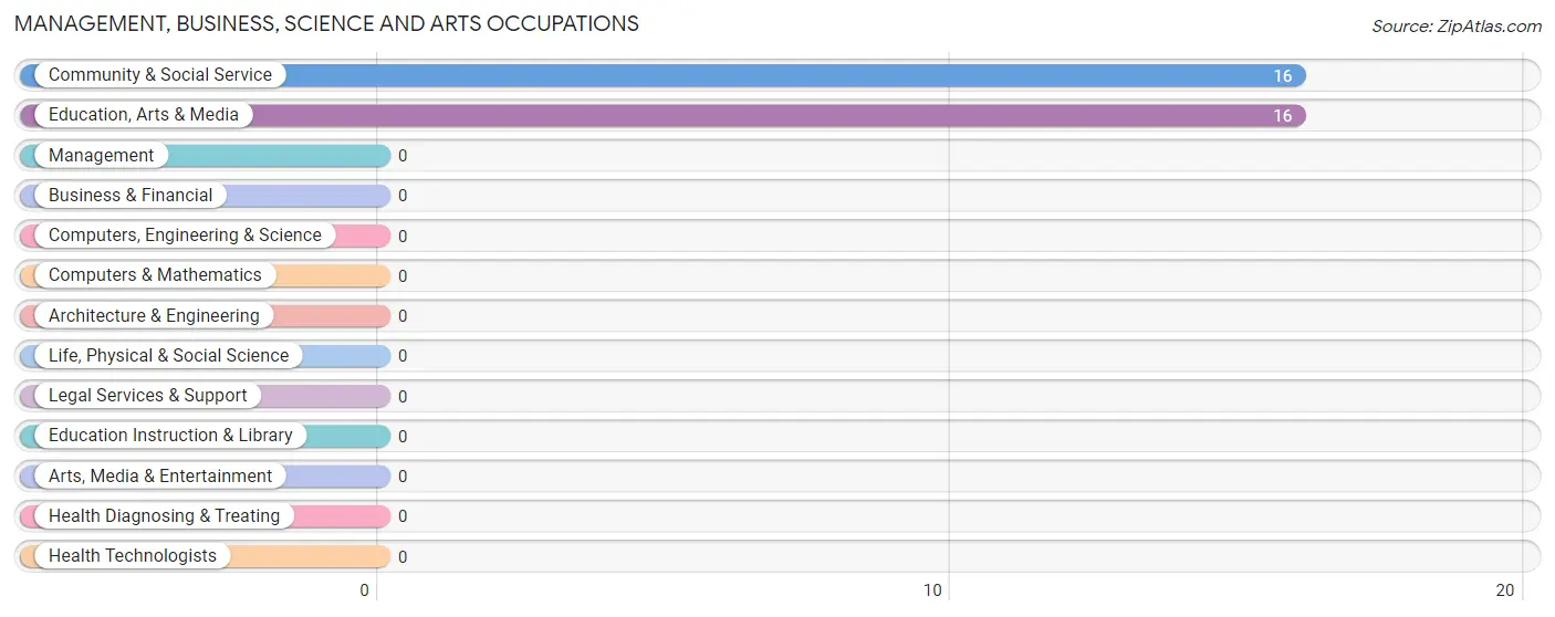 Management, Business, Science and Arts Occupations in Zip Code 87038