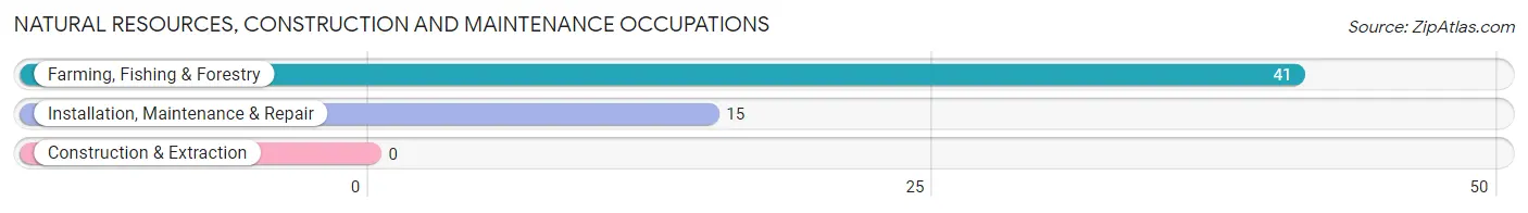 Natural Resources, Construction and Maintenance Occupations in Zip Code 87063