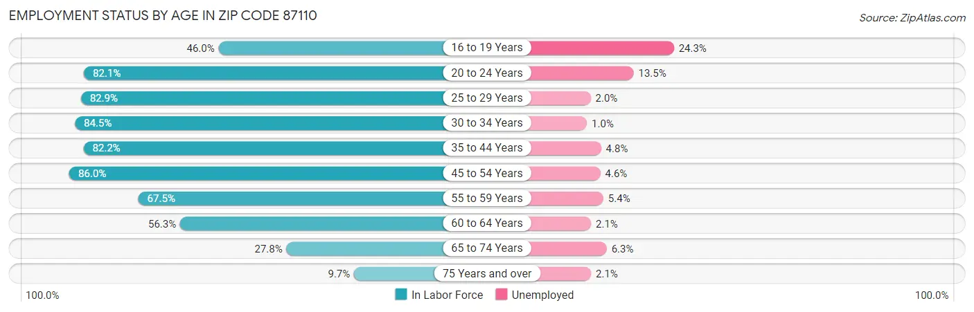 Employment Status by Age in Zip Code 87110