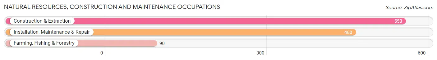 Natural Resources, Construction and Maintenance Occupations in Zip Code 87111