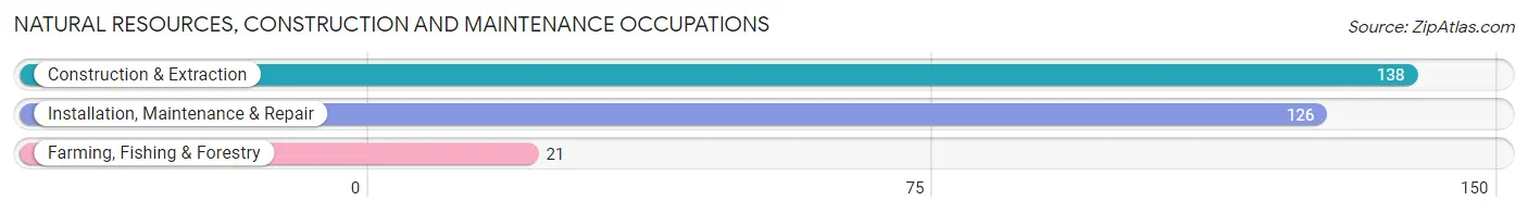 Natural Resources, Construction and Maintenance Occupations in Zip Code 87122