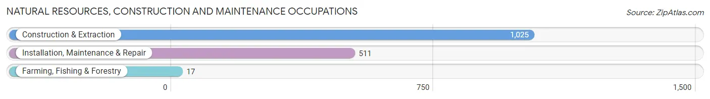 Natural Resources, Construction and Maintenance Occupations in Zip Code 87123