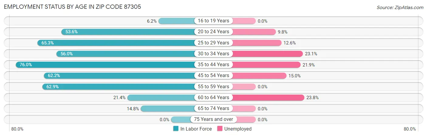 Employment Status by Age in Zip Code 87305