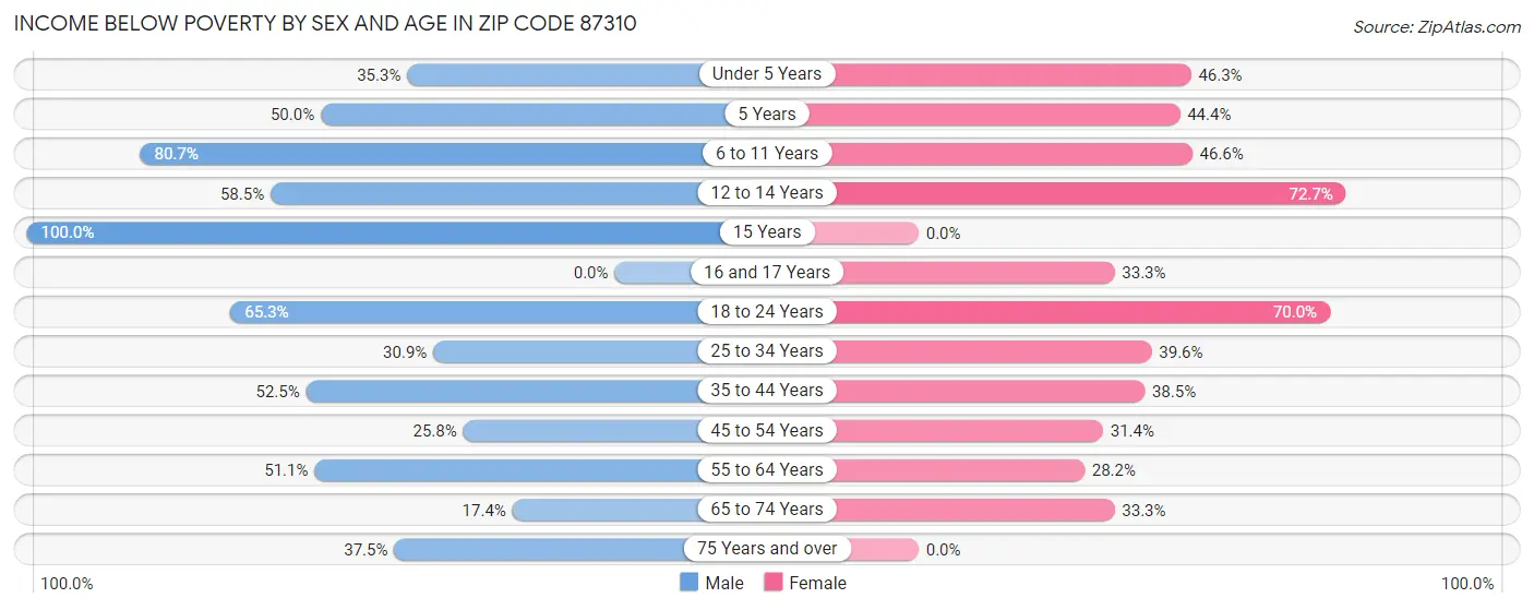 Income Below Poverty by Sex and Age in Zip Code 87310