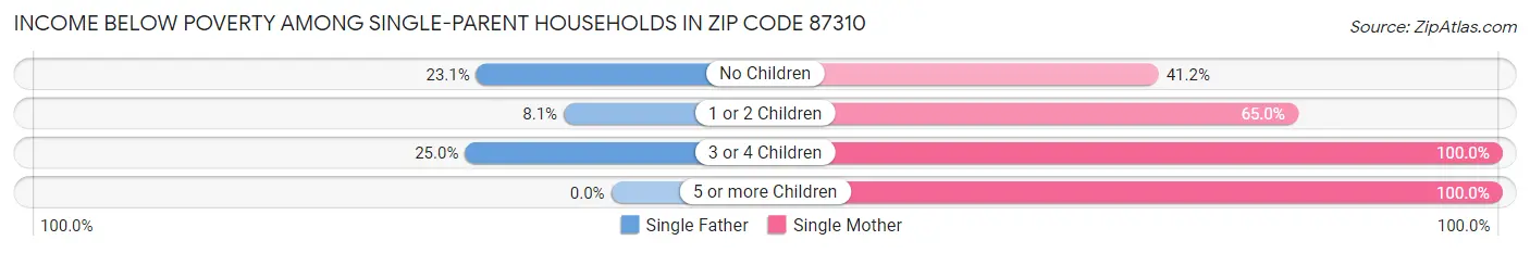 Income Below Poverty Among Single-Parent Households in Zip Code 87310