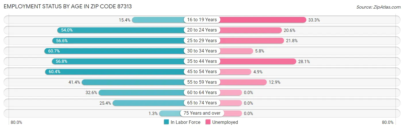 Employment Status by Age in Zip Code 87313