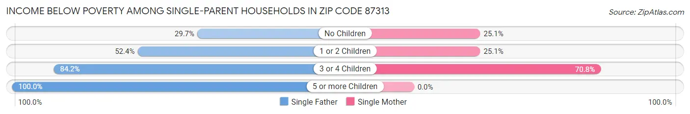 Income Below Poverty Among Single-Parent Households in Zip Code 87313