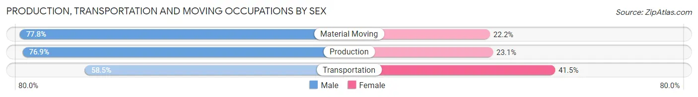 Production, Transportation and Moving Occupations by Sex in Zip Code 87319
