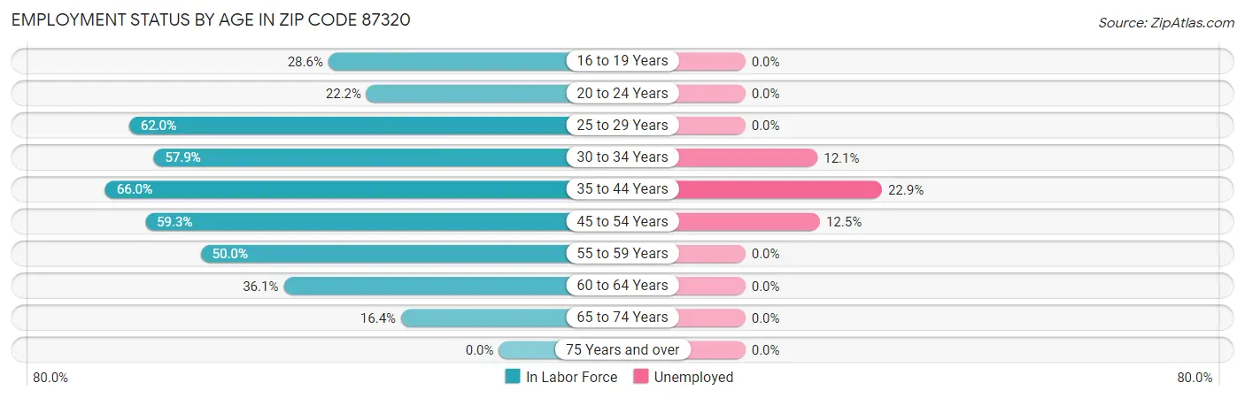 Employment Status by Age in Zip Code 87320