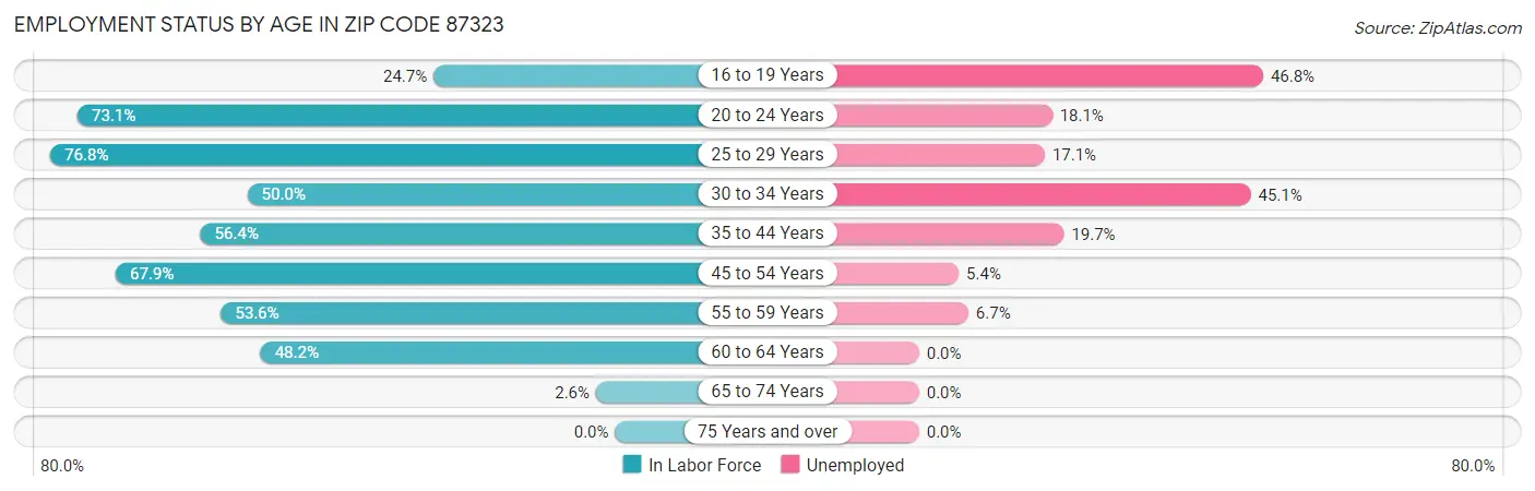 Employment Status by Age in Zip Code 87323