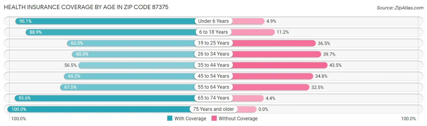 Health Insurance Coverage by Age in Zip Code 87375