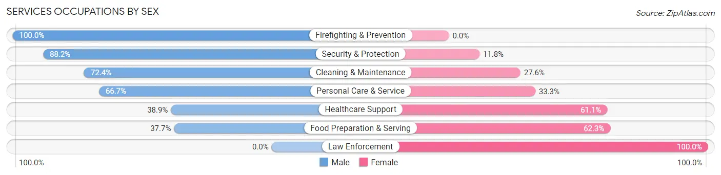Services Occupations by Sex in Zip Code 87375