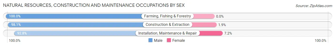 Natural Resources, Construction and Maintenance Occupations by Sex in Zip Code 87402