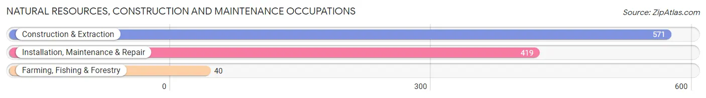 Natural Resources, Construction and Maintenance Occupations in Zip Code 87410