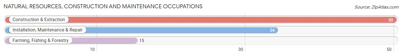 Natural Resources, Construction and Maintenance Occupations in Zip Code 87412