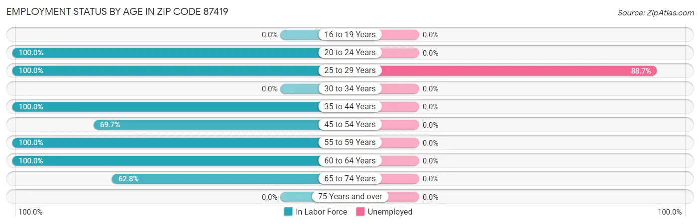 Employment Status by Age in Zip Code 87419