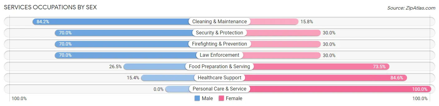 Services Occupations by Sex in Zip Code 87455