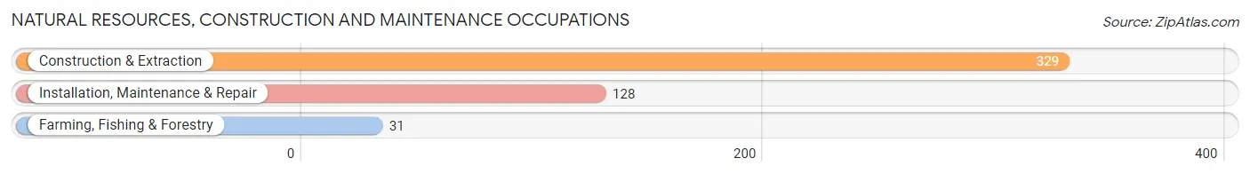 Natural Resources, Construction and Maintenance Occupations in Zip Code 87506