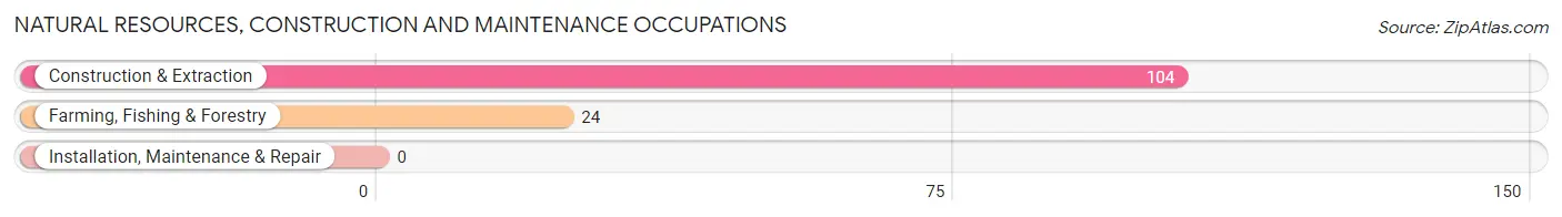 Natural Resources, Construction and Maintenance Occupations in Zip Code 87527