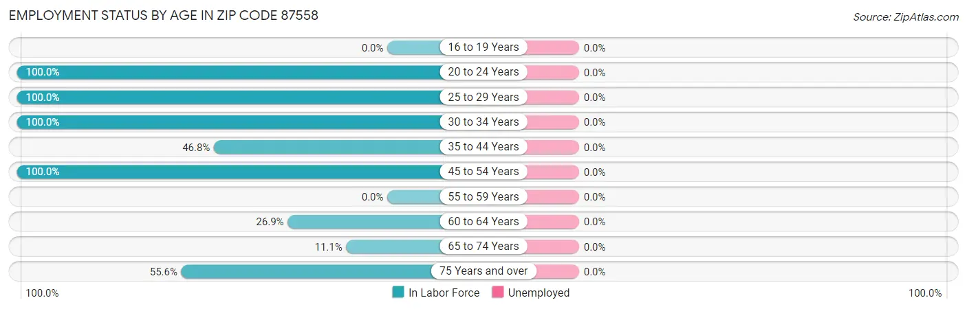 Employment Status by Age in Zip Code 87558