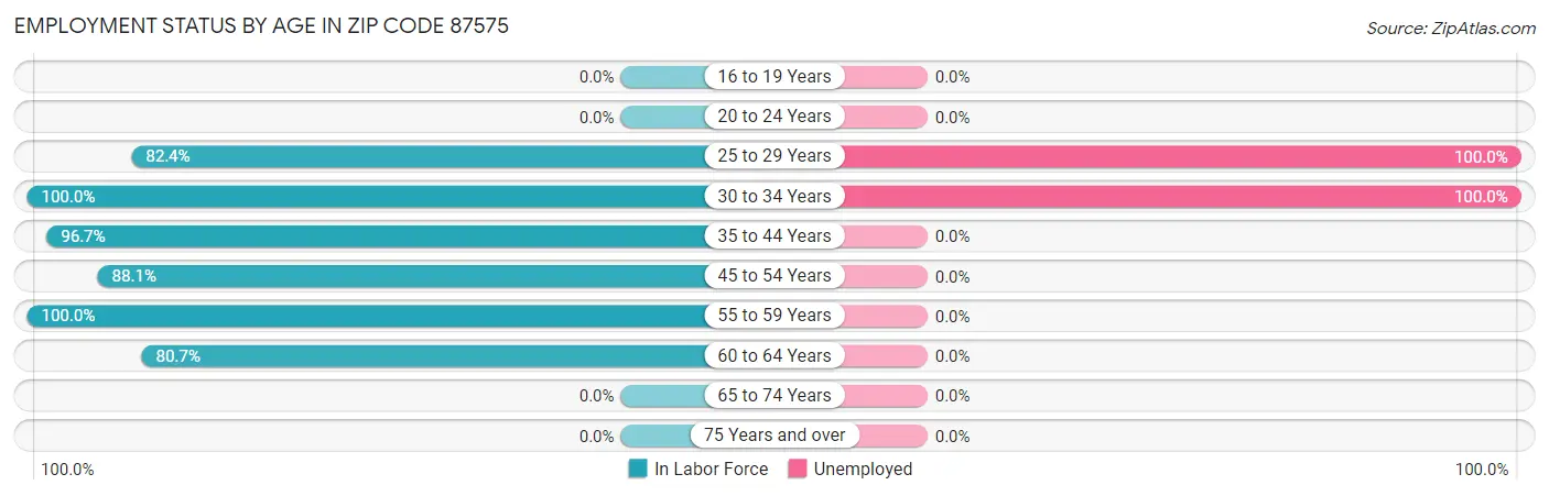 Employment Status by Age in Zip Code 87575