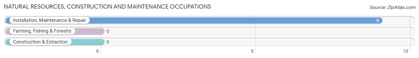 Natural Resources, Construction and Maintenance Occupations in Zip Code 87742