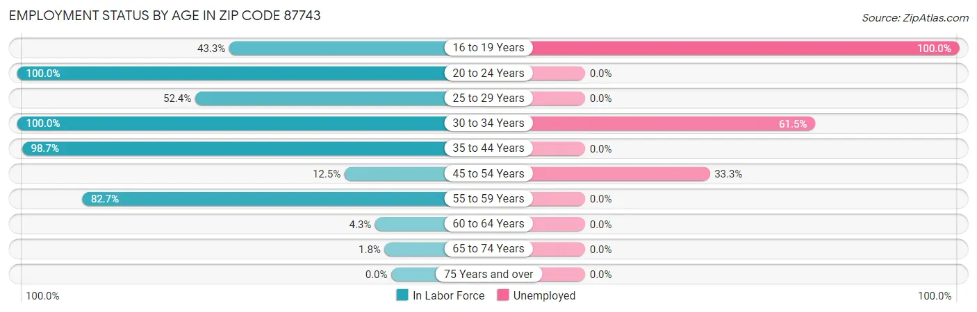 Employment Status by Age in Zip Code 87743