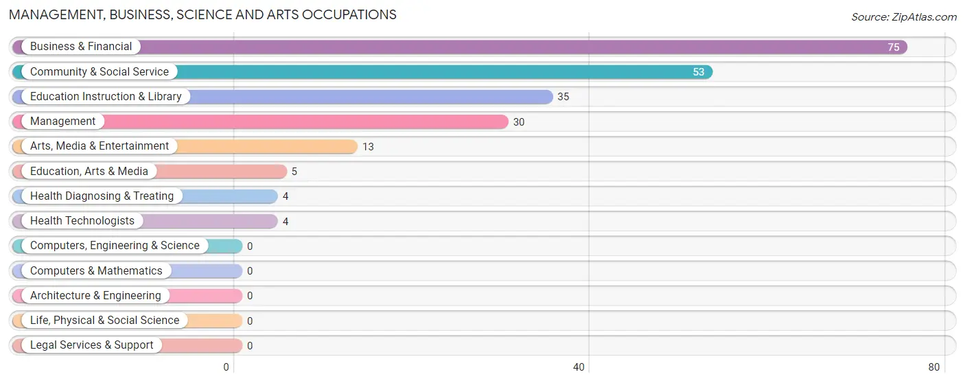 Management, Business, Science and Arts Occupations in Zip Code 87752