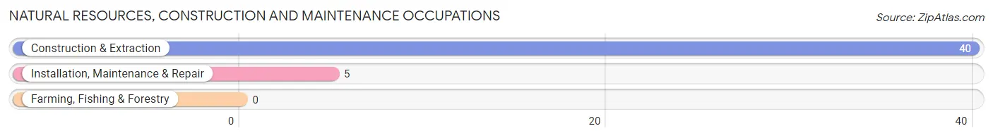 Natural Resources, Construction and Maintenance Occupations in Zip Code 87823