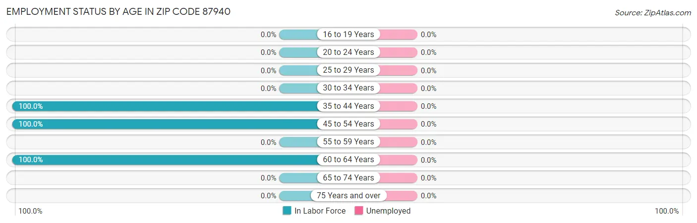 Employment Status by Age in Zip Code 87940