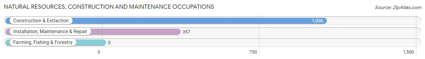 Natural Resources, Construction and Maintenance Occupations in Zip Code 88007