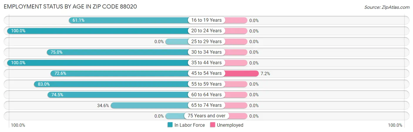 Employment Status by Age in Zip Code 88020