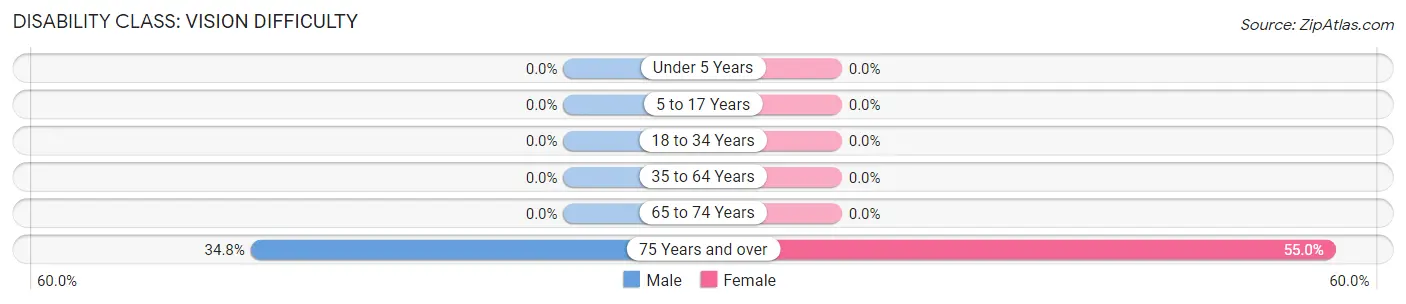 Disability in Zip Code 88022: <span>Vision Difficulty</span>