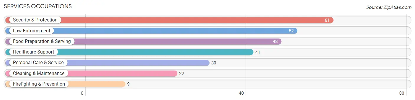 Services Occupations in Zip Code 88045