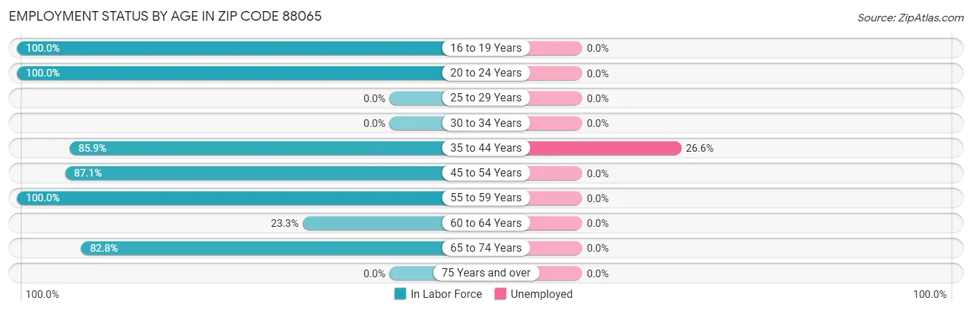 Employment Status by Age in Zip Code 88065