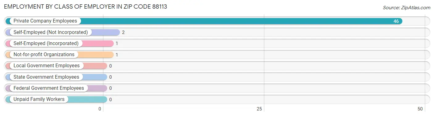 Employment by Class of Employer in Zip Code 88113