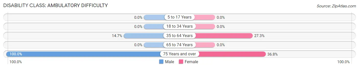 Disability in Zip Code 88121: <span>Ambulatory Difficulty</span>