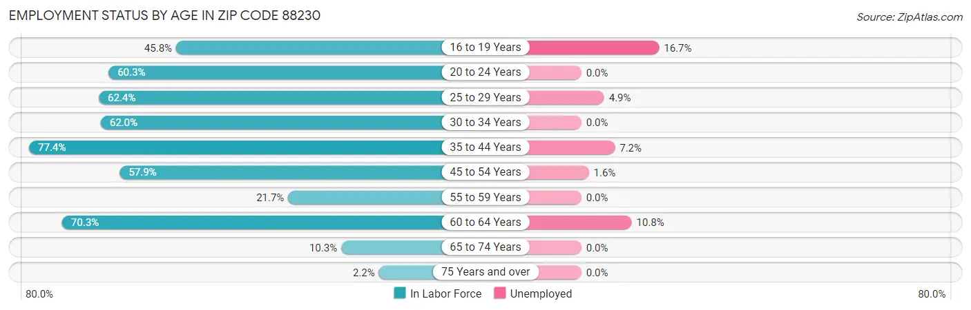 Employment Status by Age in Zip Code 88230