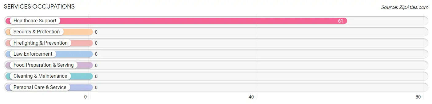 Services Occupations in Zip Code 88250