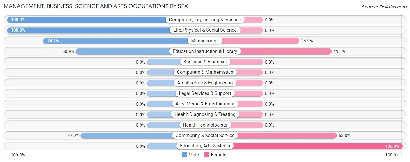 Management, Business, Science and Arts Occupations by Sex in Zip Code 88252