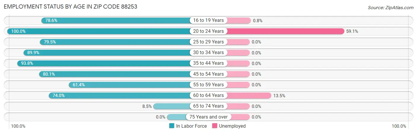 Employment Status by Age in Zip Code 88253