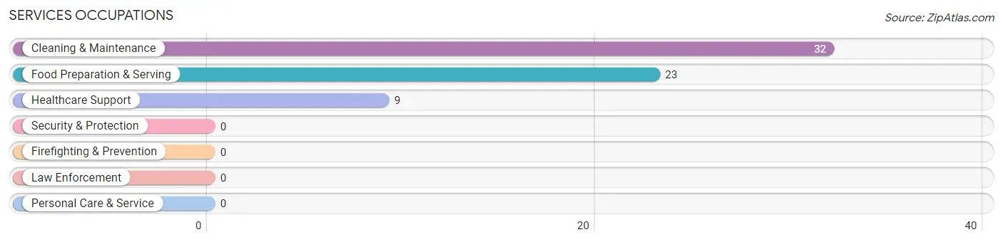 Services Occupations in Zip Code 88267