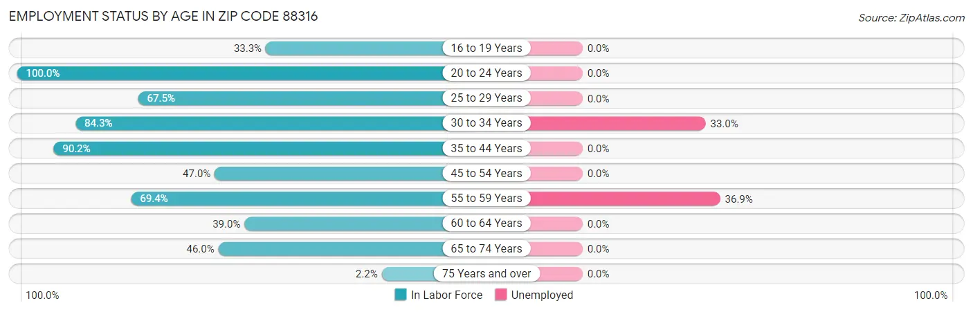 Employment Status by Age in Zip Code 88316