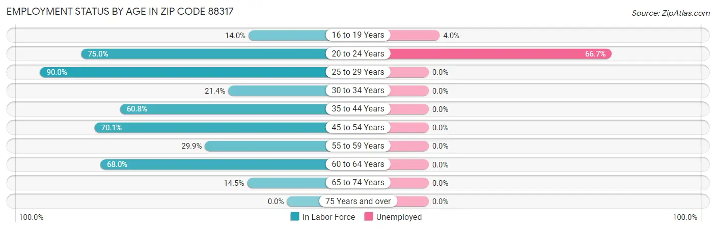 Employment Status by Age in Zip Code 88317