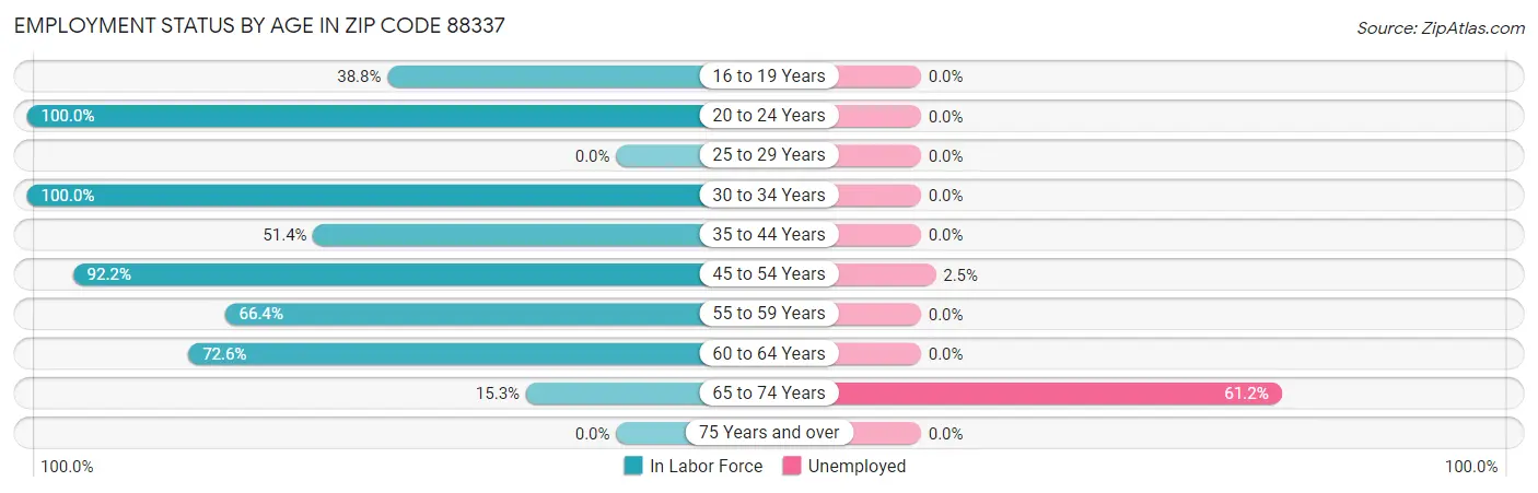 Employment Status by Age in Zip Code 88337