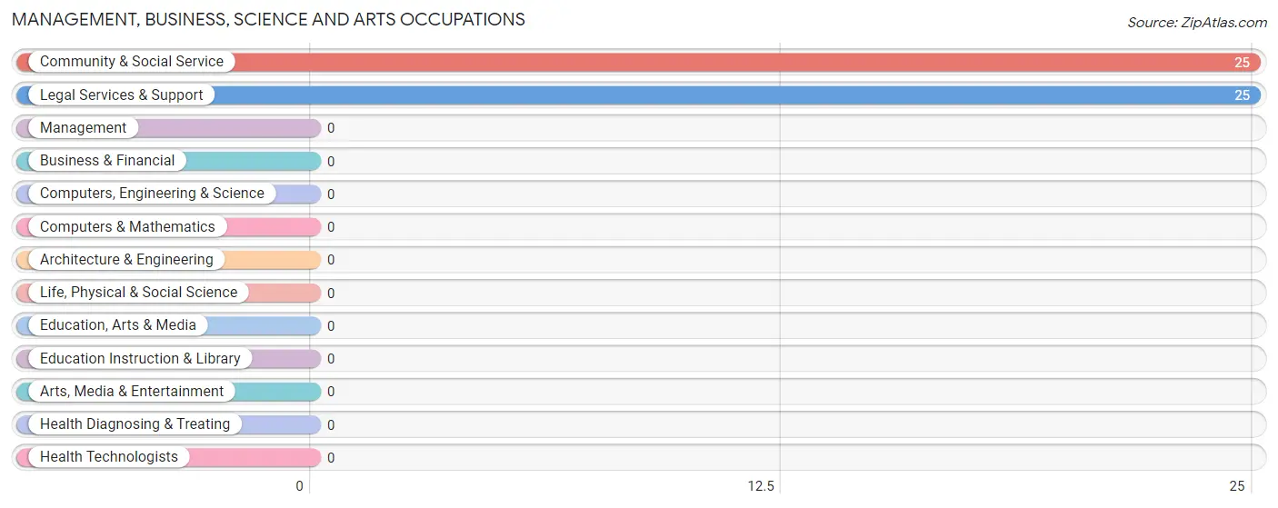 Management, Business, Science and Arts Occupations in Zip Code 88338