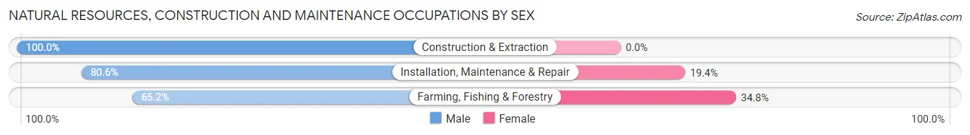 Natural Resources, Construction and Maintenance Occupations by Sex in Zip Code 88340